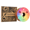 Polymaker PLA Filament | Starlight Mars | 1,75mm | 1kg | Panchroma CA02017 DFP14417 - 3